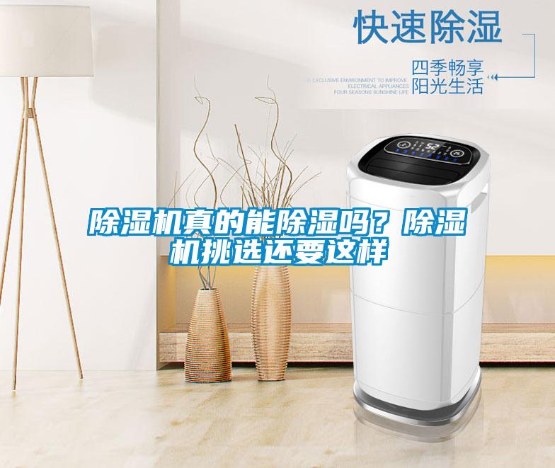 除濕機真的能除濕嗎？除濕機挑選還要這樣