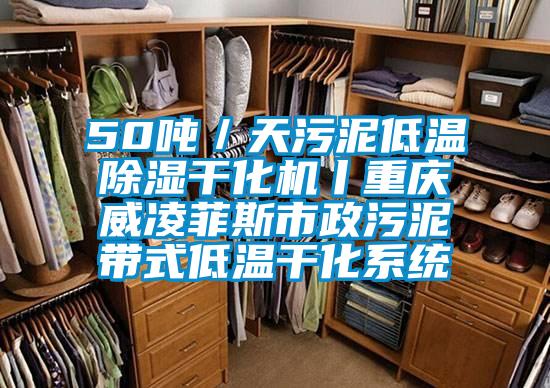 50噸／天污泥低溫除濕干化機丨重慶威凌菲斯市政污泥帶式低溫干化系統(tǒng)