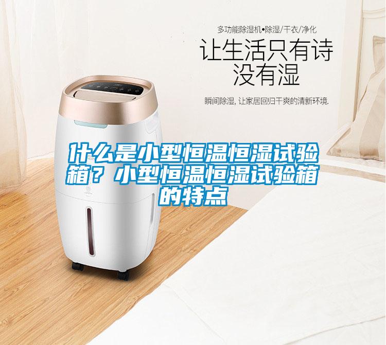 什么是小型恒溫恒濕試驗(yàn)箱？小型恒溫恒濕試驗(yàn)箱的特點(diǎn)
