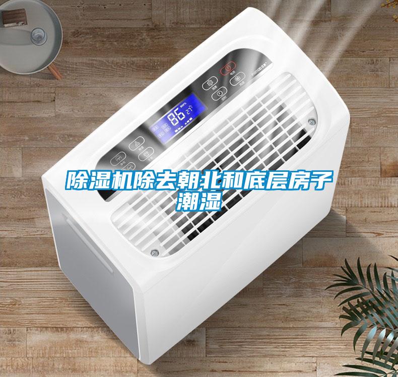 除濕機(jī)除去朝北和底層房子潮濕