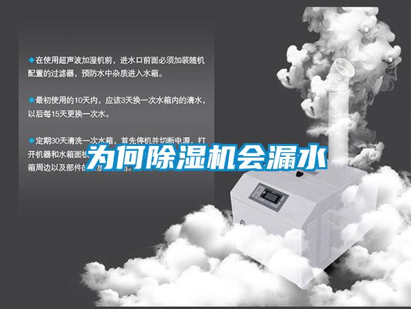 為何除濕機(jī)會(huì)漏水