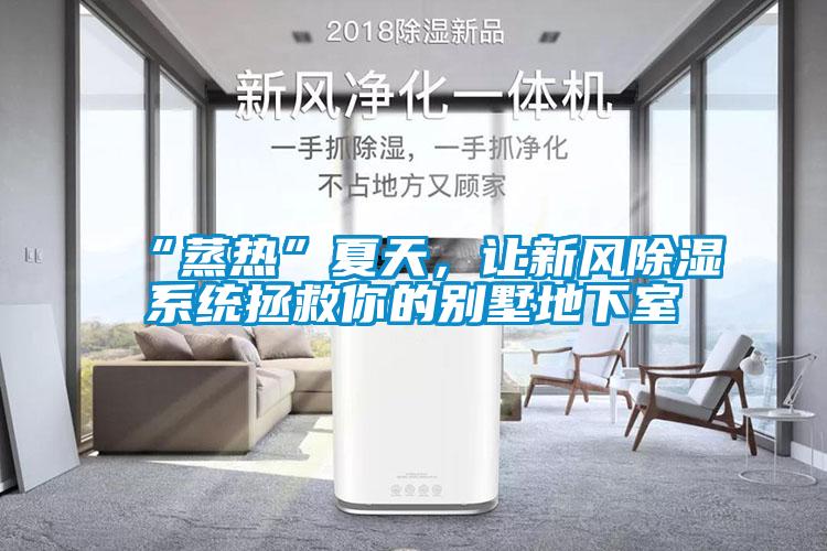 “蒸熱”夏天，讓新風(fēng)除濕系統(tǒng)拯救你的別墅地下室