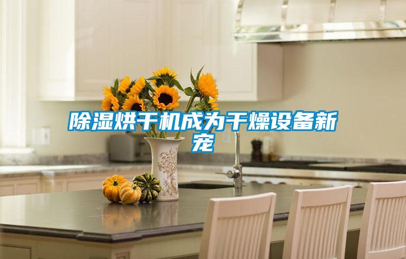 除濕烘干機成為干燥設(shè)備新寵