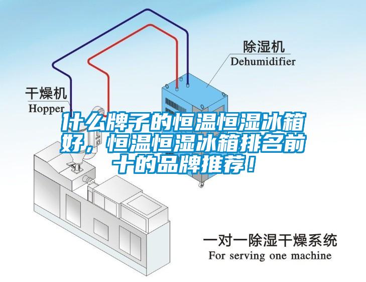 什么牌子的恒溫恒濕冰箱好，恒溫恒濕冰箱排名前十的品牌推薦！