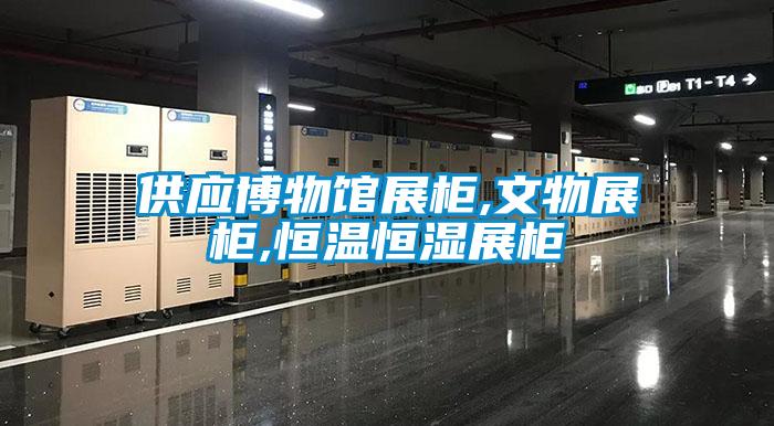 供應(yīng)博物館展柜,文物展柜,恒溫恒濕展柜