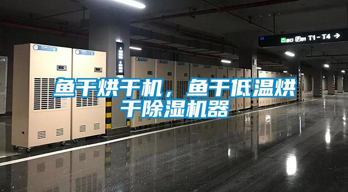 魚干烘干機，魚干低溫烘干除濕機器