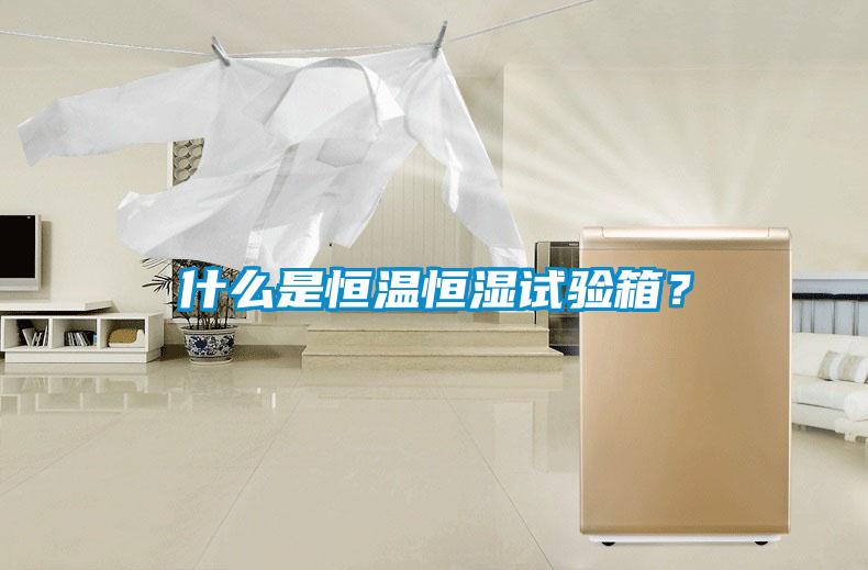 什么是恒溫恒濕試驗箱？