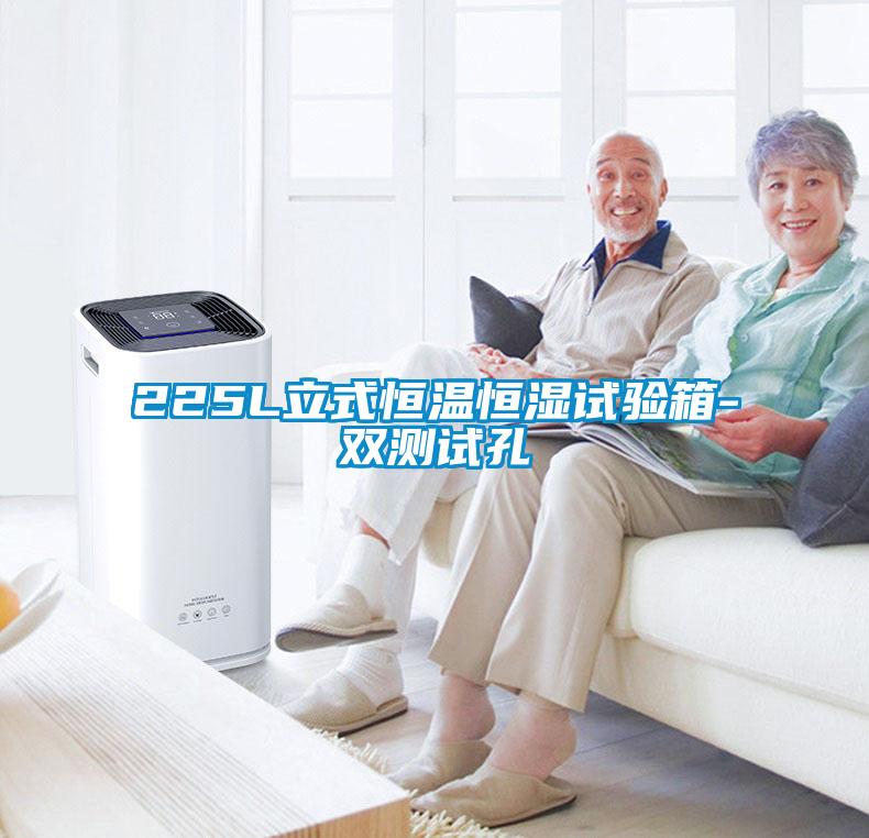 225L立式恒溫恒濕試驗(yàn)箱-雙測(cè)試孔