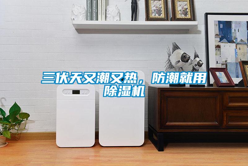 三伏天又潮又熱，防潮就用除濕機(jī)