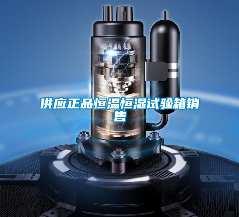 供應(yīng)正品恒溫恒濕試驗(yàn)箱銷售