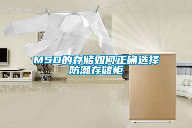 MSD的存儲如何正確選擇防潮存儲柜
