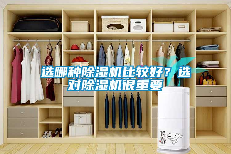 選哪種除濕機(jī)比較好？選對(duì)除濕機(jī)很重要