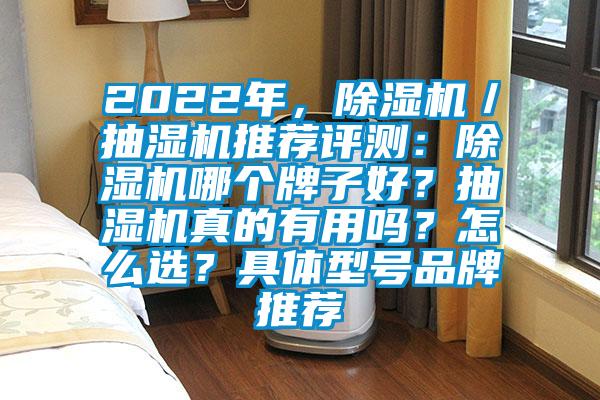 2022年，除濕機(jī)／抽濕機(jī)推薦評(píng)測(cè)：除濕機(jī)哪個(gè)牌子好？抽濕機(jī)真的有用嗎？怎么選？具體型號(hào)品牌推薦