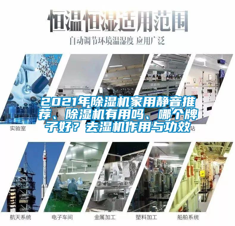 2021年除濕機家用靜音推薦、除濕機有用嗎、哪個牌子好？去濕機作用與功效