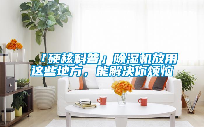 「硬核科普」除濕機(jī)放用這些地方，能解決你煩惱