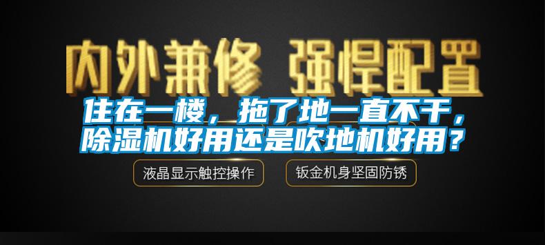 住在一樓，拖了地一直不干，除濕機好用還是吹地機好用？