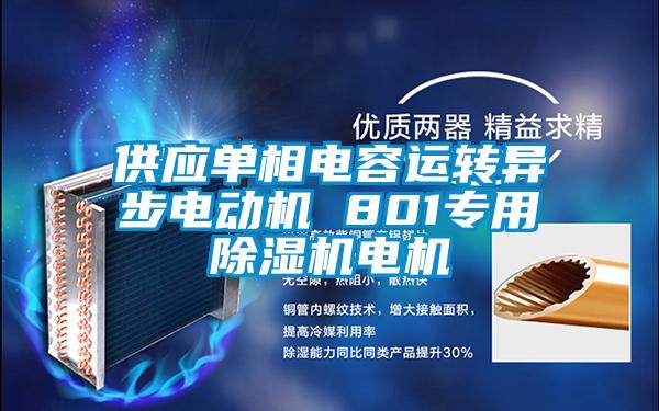 供應(yīng)單相電容運轉(zhuǎn)異步電動機 801專用除濕機電機