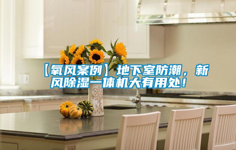 【氧風案例】地下室防潮，新風除濕一體機大有用處！