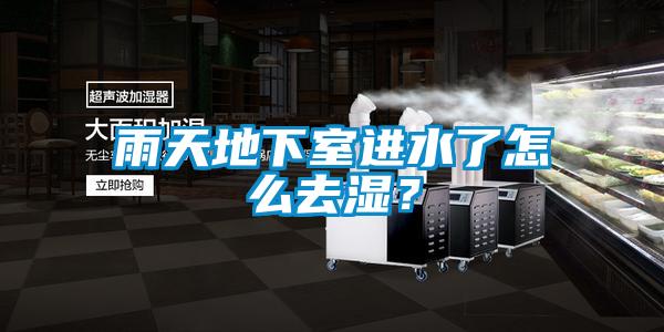 雨天地下室進(jìn)水了怎么去濕？