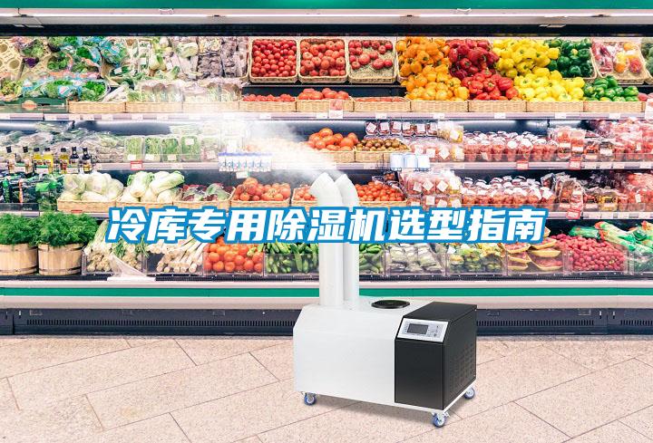 冷庫(kù)專用除濕機(jī)選型指南