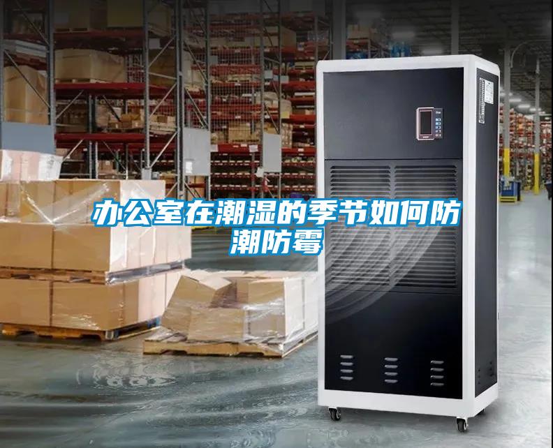 辦公室在潮濕的季節(jié)如何防潮防霉