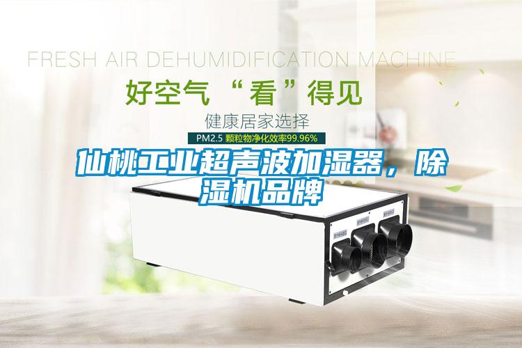 仙桃工業(yè)超聲波加濕器，除濕機品牌