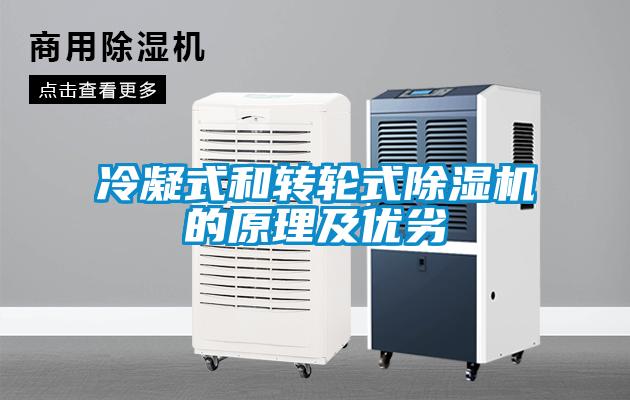 冷凝式和轉(zhuǎn)輪式除濕機(jī)的原理及優(yōu)劣