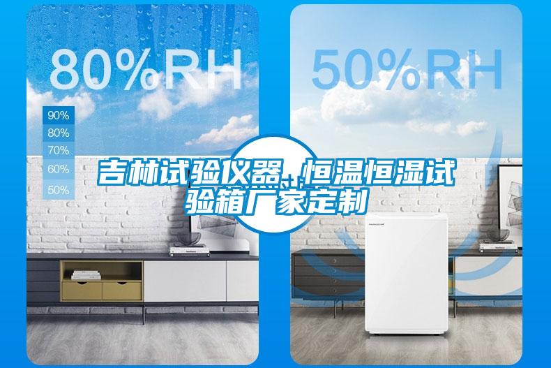 吉林試驗(yàn)儀器 恒溫恒濕試驗(yàn)箱廠家定制