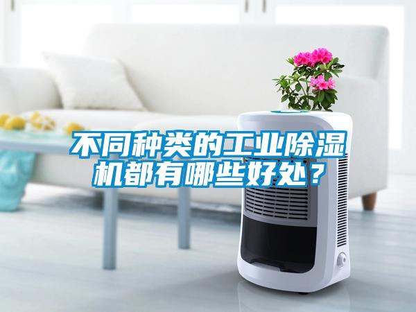不同種類的工業(yè)除濕機(jī)都有哪些好處？