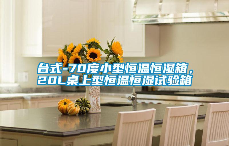 臺式-70度小型恒溫恒濕箱，20L桌上型恒溫恒濕試驗箱