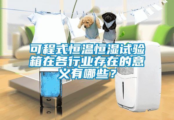 可程式恒溫恒濕試驗箱在各行業(yè)存在的意義有哪些？