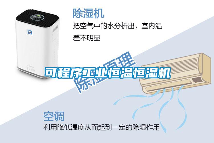 可程序工業(yè)恒溫恒濕機