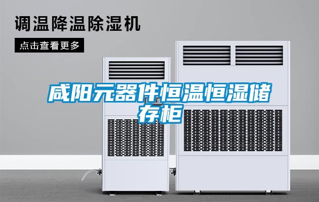 咸陽元器件恒溫恒濕儲(chǔ)存柜