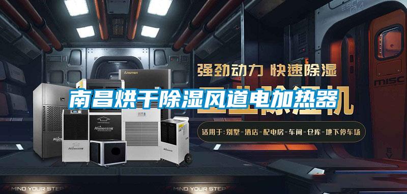南昌烘干除濕風(fēng)道電加熱器