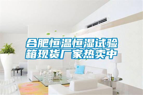 合肥恒溫恒濕試驗箱現(xiàn)貨廠家熱賣中