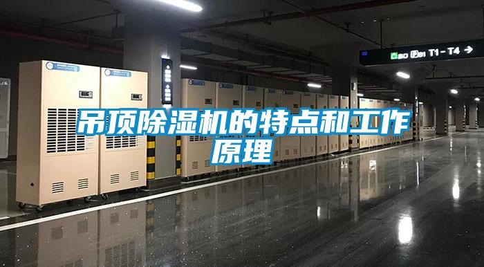 吊頂除濕機(jī)的特點(diǎn)和工作原理
