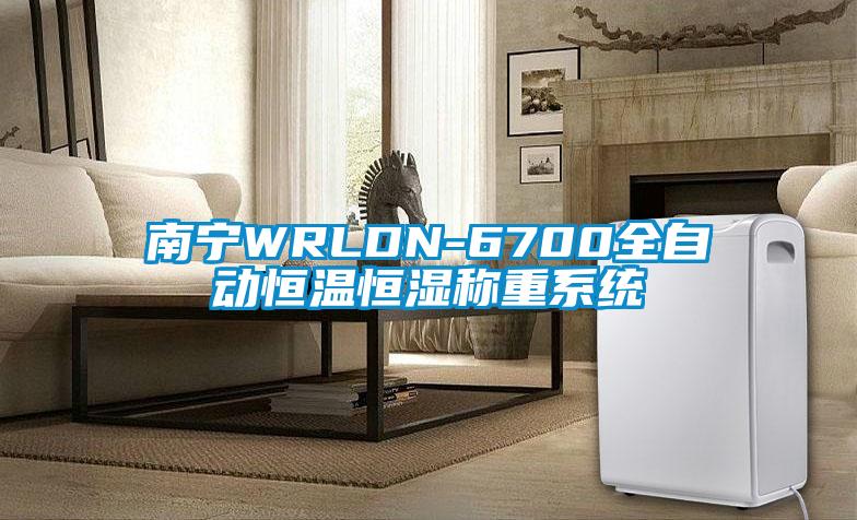 南寧WRLDN-6700全自動(dòng)恒溫恒濕稱重系統(tǒng)