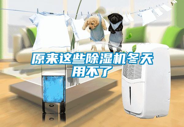 原來這些除濕機冬天用不了