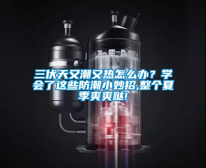 三伏天又潮又熱怎么辦？學(xué)會了這些防潮小妙招,整個(gè)夏季爽爽噠!