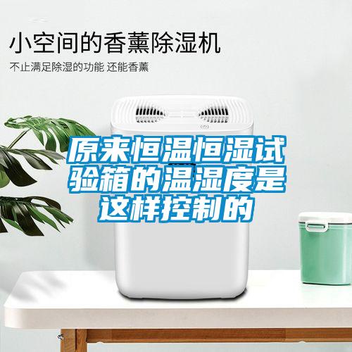 原來(lái)恒溫恒濕試驗(yàn)箱的溫濕度是這樣控制的