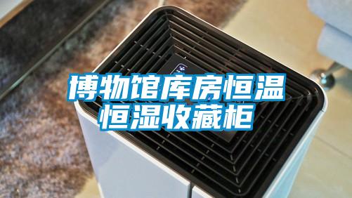博物館庫(kù)房恒溫恒濕收藏柜