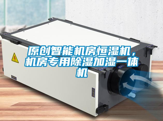 原創(chuàng)智能機房恒濕機，機房專用除濕加濕一體機
