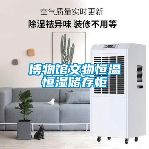 博物館文物恒溫恒濕儲存柜