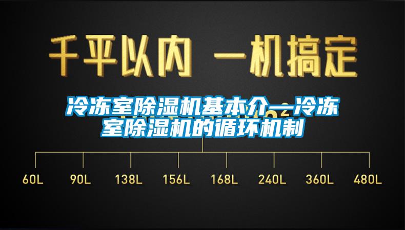 冷凍室除濕機基本介—冷凍室除濕機的循環(huán)機制