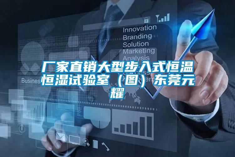 廠(chǎng)家直銷(xiāo)大型步入式恒溫恒濕試驗(yàn)室（圖）東莞元耀