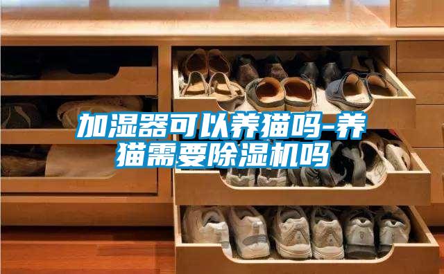 加濕器可以養(yǎng)貓嗎-養(yǎng)貓需要除濕機嗎