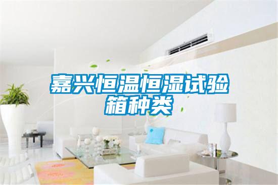 嘉興恒溫恒濕試驗(yàn)箱種類(lèi)