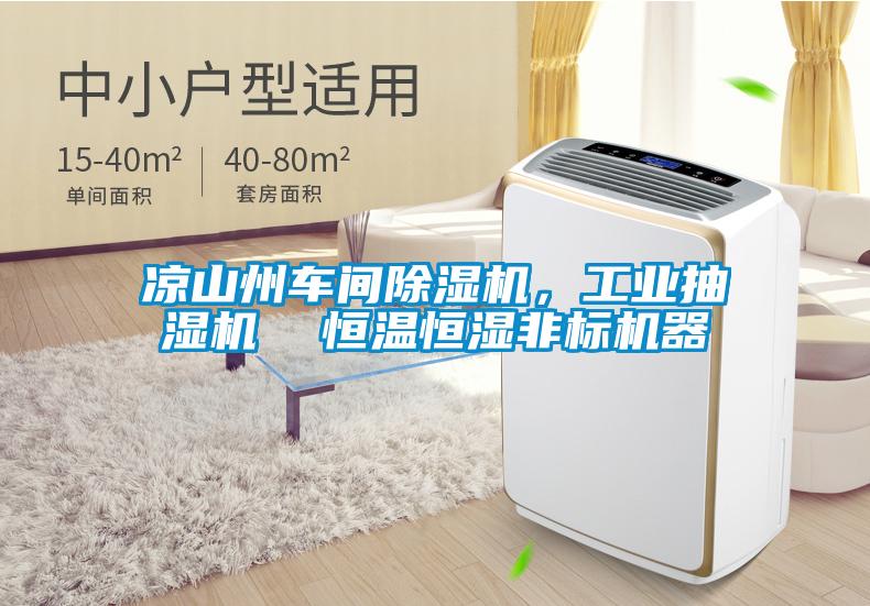 涼山州車間除濕機，工業(yè)抽濕機  恒溫恒濕非標機器