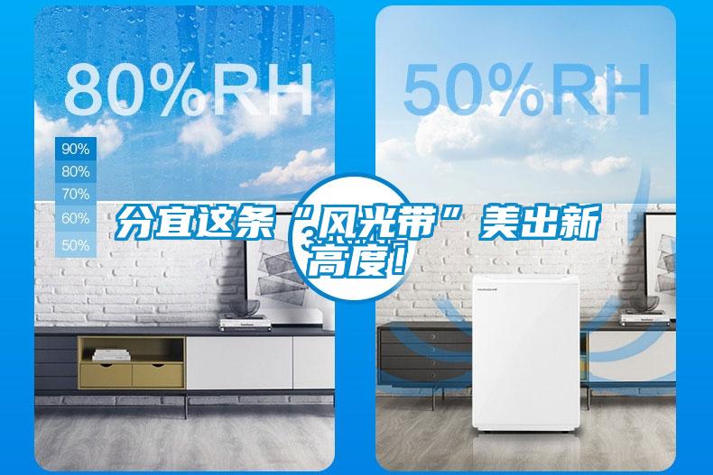 分宜這條“風(fēng)光帶”美出新高度！