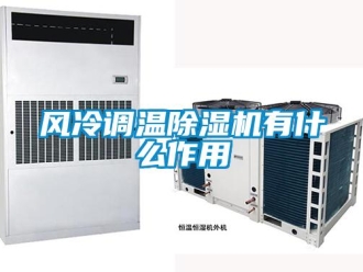 企業(yè)新聞風(fēng)冷調(diào)溫除濕機(jī)有什么作用